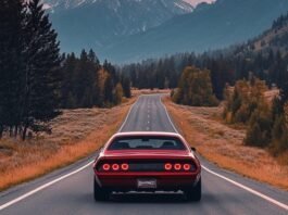 Slow Roads: The Relaxing Driving Game You Didn’t Know You Needed🚗💨🌿 slow roads